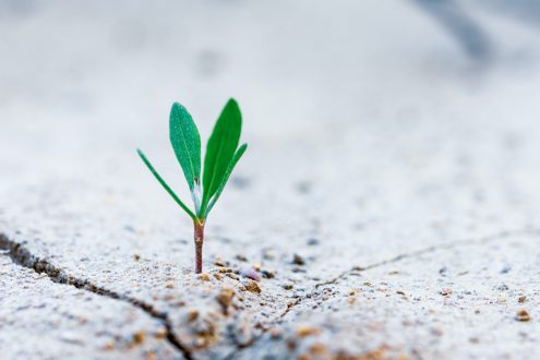 Croissance de l'activité